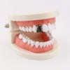 1pcs 14K Plated Gold Mouth Teeth Set, Hip Hop Teeth Plain,Fake Top Tooth Caps Dental Bottom Party Cosplay for Men Women Rapper Accessories-Black view 3