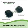 Rainforest Basics Rubber Encased Hex Dumbbell Hand Weight (35-Pound, Single) view 4