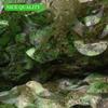 WINWAY Camo Netting Camouflage Net Bulk Roll Sunshade Mesh Net for Hunting Shooting Military Theme Party Decoration view 2