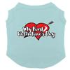 My First Valentine's Day Dog Shirt (Chill, 2X-Large) view 1