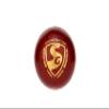 SG Shield 20 Cricket Balls ( 2 Ball Pack ) view 1