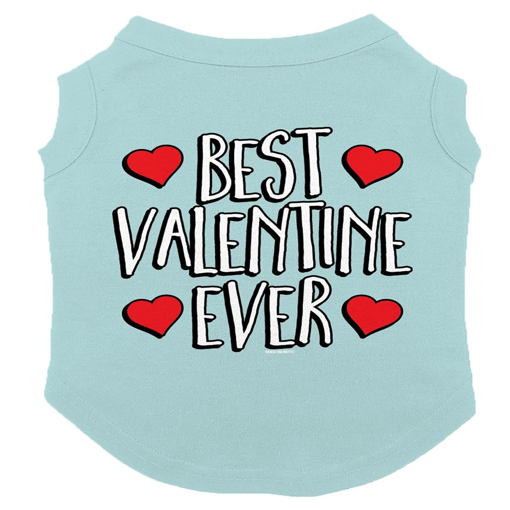 Best Valentine Ever - Dog Shirt (Chill, X-Small)