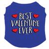Best Valentine Ever - Dog Shirt (Royal Blue, 2X-Large) view 1