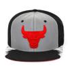 Day 5 Snapback Chicago Bulls view 1