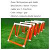 Agility Ladder 5M Fixed Agile Training Ladder, Kids/Adults Multi-Purpose Home Fitness Equipment, for Outdoor/Indoor Personal Training view 4
