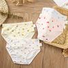 Girls' Soft Cotton Underwear Breathable Fruit Toddler Panties Pink Little Girls Flamingo Underwear Big Kids Undies Baby Girls'briefs (fruit, 5T) view 4