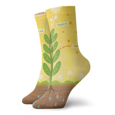 GULTMEE Funny Compression Socks Women and Men,Cartoon Photosynthesis Oxygen Carbon Dioxide Sunlight And Water,Best for Circulation,Running,Athletic,Nurse,Travel, -12 inch
