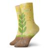 GULTMEE Funny Compression Socks Women and Men,Cartoon Photosynthesis Oxygen Carbon Dioxide Sunlight And Water,Best for Circulation,Running,Athletic,Nurse,Travel, -12 inch view 1