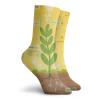 GULTMEE Funny Compression Socks Women and Men,Cartoon Photosynthesis Oxygen Carbon Dioxide Sunlight And Water,Best for Circulation,Running,Athletic,Nurse,Travel, -12 inch view 2
