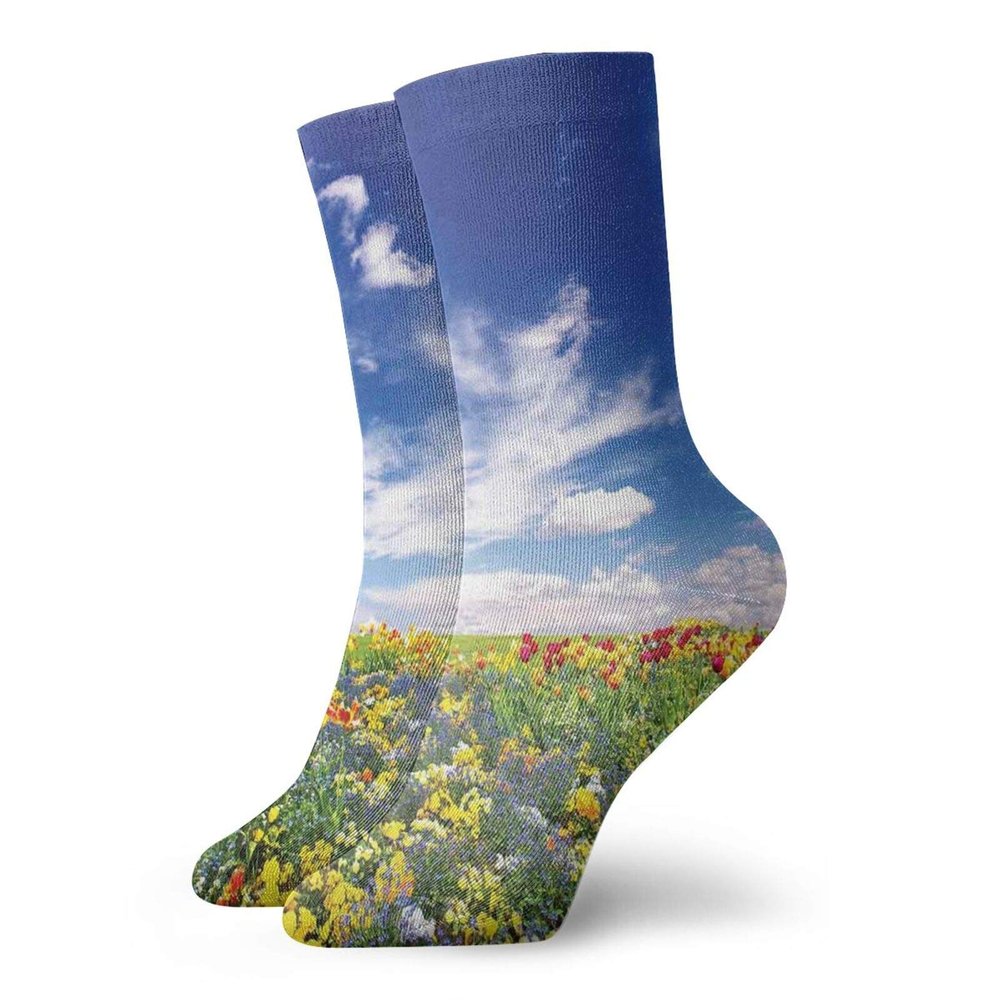 Flower Funny Compression Socks Women and Men,Flowers Meadow And Cloudy Sky Nature Landscape Print Vivid Sun Springtime Artistic,Best for Circulation,Running,Athletic,Nurse,Travel,Multicolor -12 inch