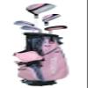 Child's RH Golf Club 5-Piece Set Kids Golf Club Set (11-13 Years Old Pink) view 1