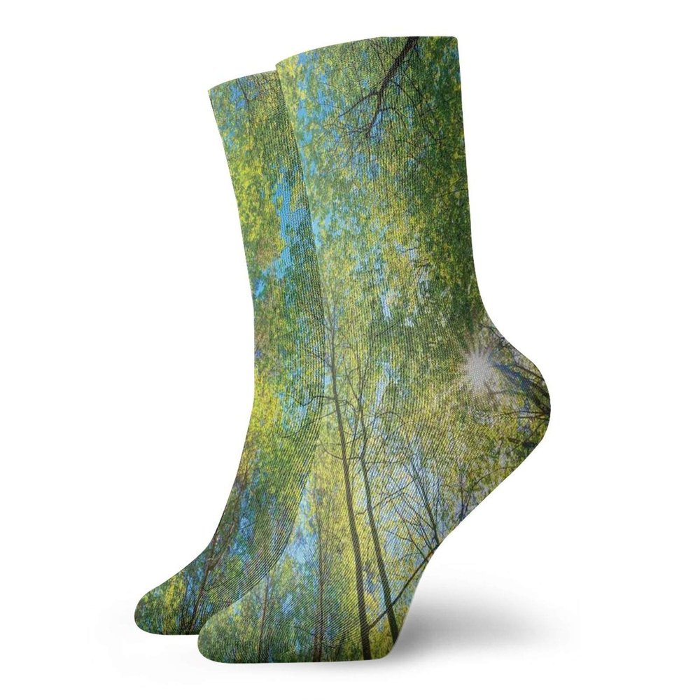 GULTMEE Funny Compression Socks Women and Men,Evergreen Back Nature Area Mother Earth Lime Trunk Mangrove Flora Willow Photography,Best for Circulation,Running,Athletic,Nurse,Travel, -12 inch