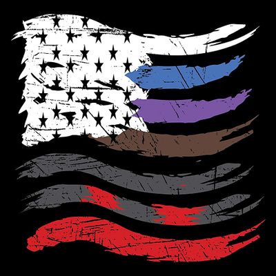 Damdekoli Jiu Jitsu Flag Poster - Wall Art Brazilian Belt Colors - Motivational Martial Arts - BJJ (36 x 60 Inches)