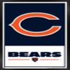 NFL Chicago Bears - Logo 21 Wall Poster, 34L" x 22.4W", Black Framed Version view 1