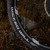 Schwalbe Wicked Will Super Ground Addix Speedgrip TLE Folding Tyre, Bronze Skin, 62-622 (29x2.40) view 4