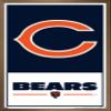 NFL Chicago Bears - Logo 21 Wall Poster, 34L" x 22.4W", Bronze Framed Version view 1
