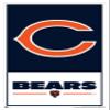 NFL Chicago Bears - Logo 21 Wall Poster, 34L" x 22.4W", White Framed Version view 1