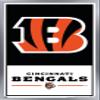 NFL Cincinnati Bengals - Logo 21 Wall Poster, 34L" x 22.4W", Silver Framed Version view 1