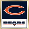 NFL Chicago Bears - Logo 21 Wall Poster, 34L" x 22.4W", Gold Framed Version view 1