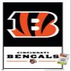 Trends International NFL Cincinnati Bengals - Logo 21 Wall Poster, 22.37" x 34.00", Premium Poster & Push Pin Bundle view 1