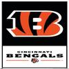 Trends International NFL Cincinnati Bengals - Logo 21 Wall Poster, 22.37" x 34.00", Premium Poster & Push Pin Bundle view 4