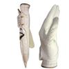 Men's Alpha One Golf Glove (Small, Left) view 4