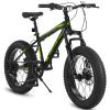 Elecony Ecarpat 20/24/26 Inch Fat Tire Mountain Bike Teenages Boys Girls 7/21 Speed, Front Suspension Disc Brake Bicycle, Carbon Steel Frame Mountain Trail Bike, Beach Bicycle view 1