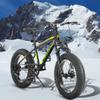 Elecony Ecarpat 20/24/26 Inch Fat Tire Mountain Bike Teenages Boys Girls 7/21 Speed, Front Suspension Disc Brake Bicycle, Carbon Steel Frame Mountain Trail Bike, Beach Bicycle view 2