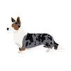 Blue Merle Cardigan Welsh Corgi Dog Lover Owner Vinyl Sticker