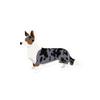 Blue Merle Cardigan Welsh Corgi Dog Lover Owner Vinyl Sticker, White, 4x4
