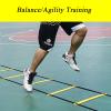Agility Ladder Speed Agility Ladder, Football Sports Speed Agility Ladder, for Sports Training and Soccer/Baseball Drills Equipment view 3
