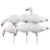 Avery Pro-Grade Full Body Snow Goose Harvester Decoy 6-Pack | 4 Fixed Head Positions (Feeder, Looker, Rester, Active) - 71201 view 1