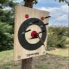 Large 2-Ring Painted Frameless Axe and Knife Throwing Target view 2