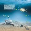 Dovesun 220Pcs Pompano Rig Floats Kit for Surf Fishing Pompano Rig Floats with Bobbers, Beads, Hooks, Other Accessories view 4