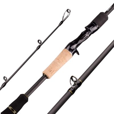 1.68 2.1 2.4 Casting Spinning Fishing Rod Boat Lure Two Tips 5-50g M/MH Fast Fishing Rod DaJiKan (Color : Casting 2.42m 2tips)