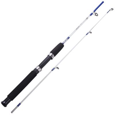 4 Color 120cm Spinning Hand Lure Fishing Rod EVA Handle Ultralight ABS Resin Body Travel Boat Rod DaJiKan (Color : Sky Blue)