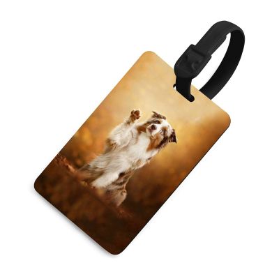 Australian Shepherd Print Luggage Tag Privacy Name Lable ID Card Suitcase Tags with Strap for Men Women Cute