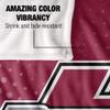 Henderson State University Reddies Blanket, 50" x 60", Logo Dots, Silky Touch Super Soft Throw view 4