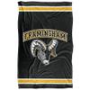 Framingham State University Rams Blanket, 36" x 58", Primary Logo Stripes, Silky Touch Super Soft Throw view 2