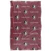 Florida State University Seminoles Blanket, 36" x 58", Logo Pattern, Silky Touch Super Soft Throw view 2
