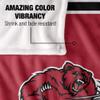 Bridgewater State Univeristy Bears Blanket, 36" x 58", Primary Logo Stripes, Silky Touch Super Soft Throw view 4