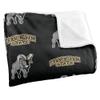 Framingham State University Rams Blanket, 36" x 58", Logo Pattern, Silky Touch Super Soft Throw view 3