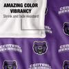University of Central Arkansas Bears Blanket, 50" x 60", Logo Pattern, Silky Touch Super Soft Throw view 4