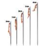 Titanium Tent Pegs Camping Tent Nails Stakes Heavy Duty Ground Pin Tent Accessories for Hard Ground 4/6pcs DaJiKan (Color : Ti1564BS 4Pcs 20cm) view 3