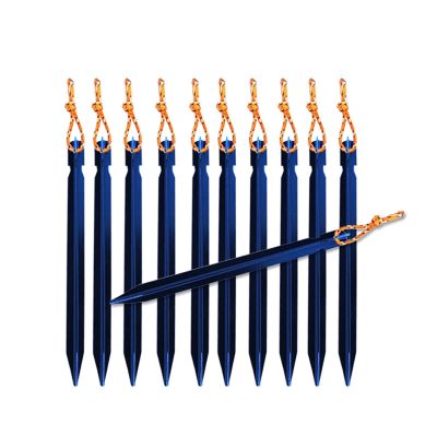 10 PCS Tent Stakes with Rope Tent Accessories Camping Equipment Outdoor Travel 18cm Tent Pegs Nail DaJiKan (Color : Blue)