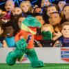 Bleacher Creatures Florida Gators Al E. Gator 10" Mascot Plush Figure - A Mascot for Play or Display view 4