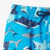 Hatley Boys Swim Board Shorts, Deep Sea Sharks, 10 Years view 4
