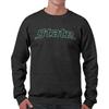 Campus Colors NCAA Adult Charcoal Crewneck Fleece Sweatshirt - Cotton Blend - Stay Warm & Represent Your Team With Style (Michigan State Spartans - Charcoal, Medium) view 1