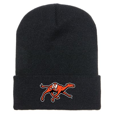 J2 Sport Campbell University Beanie Hat, Winter Mens Womens Cap for Adults, Fighting Camels