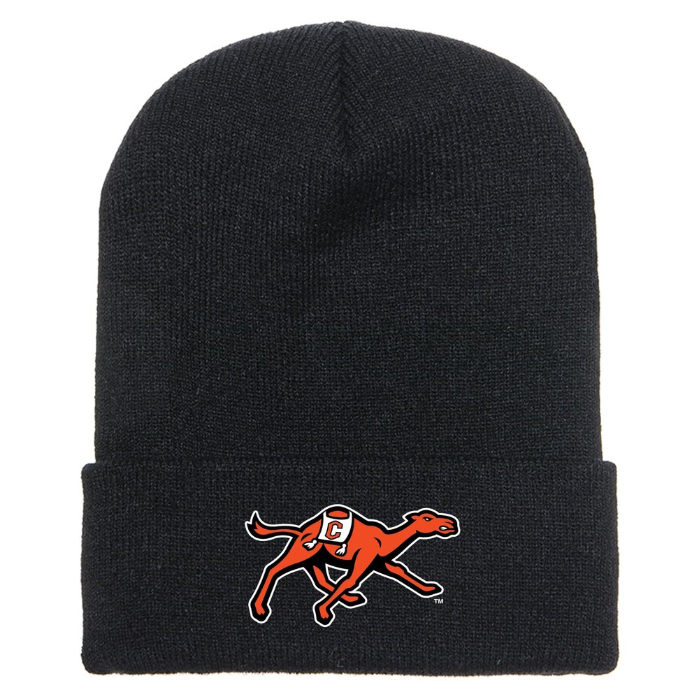 J2 Sport Campbell University Beanie Hat, Winter Mens Womens Cap for Adults, Fighting Camels